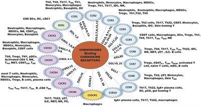 Chemokines Modulate Immune Surveillance in Tumorigenesis, Metastasis, and Response to Immunotherapy